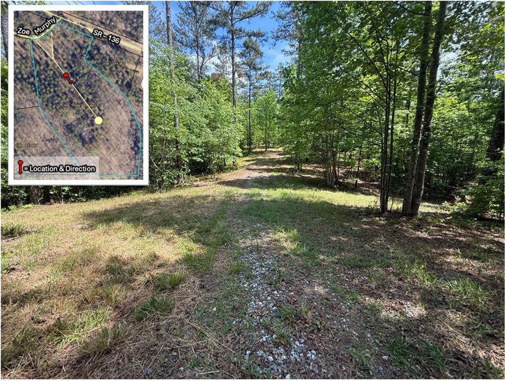 0 Zoe Murphy Road Dawsonville, GA 30534 - Photo 19 of 24