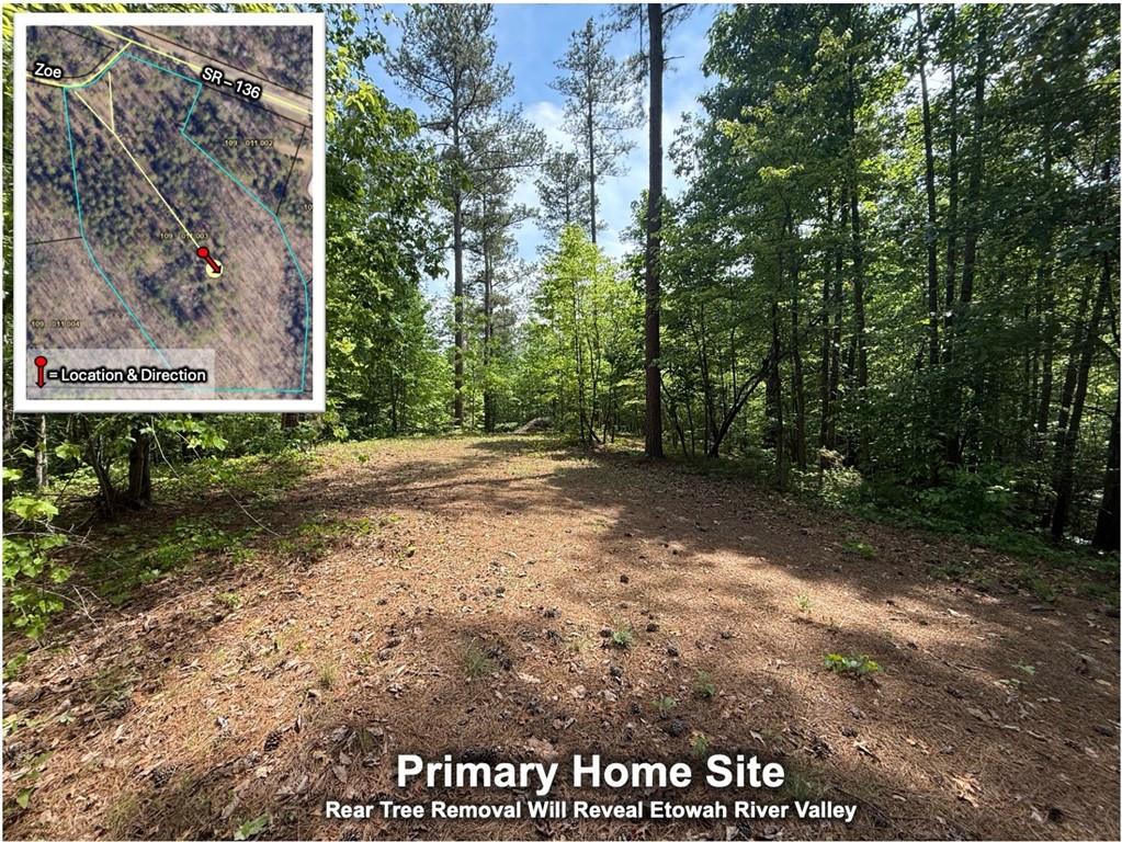 0 Zoe Murphy Road Dawsonville, GA 30534 - Photo 22 of 24
