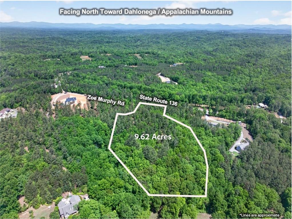0 Zoe Murphy Road Dawsonville, GA 30534 - Photo 4 of 24