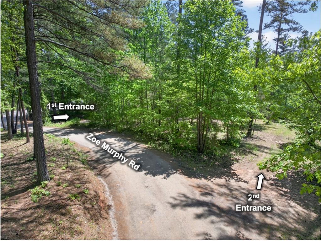 0 Zoe Murphy Road Dawsonville, GA 30534 - Photo 10 of 24