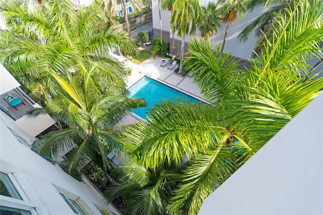 a close up of a plant