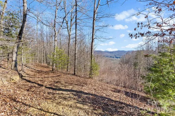 $298,000 | 0 Pinnacle Mountain Road, Unit LOTS 1 2 3 4, Zirconia, NC 28790