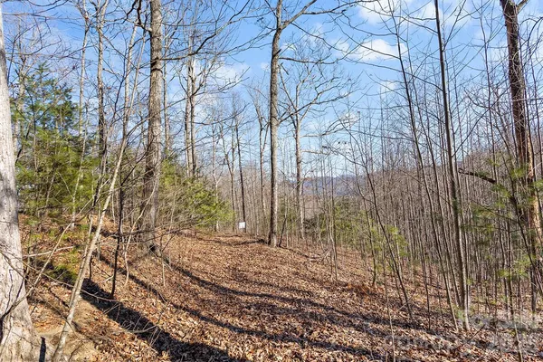 a view of a yard with trees