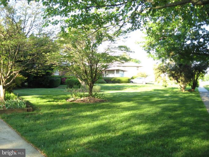 6601 Pimlico Road Baltimore, MD 21209 - Photo 4 of 12 a view of a grassy field with trees
