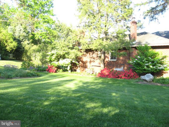 6601 Pimlico Road Baltimore, MD 21209 - Photo 5 of 12 a backyard of a house with lots of green space and plants