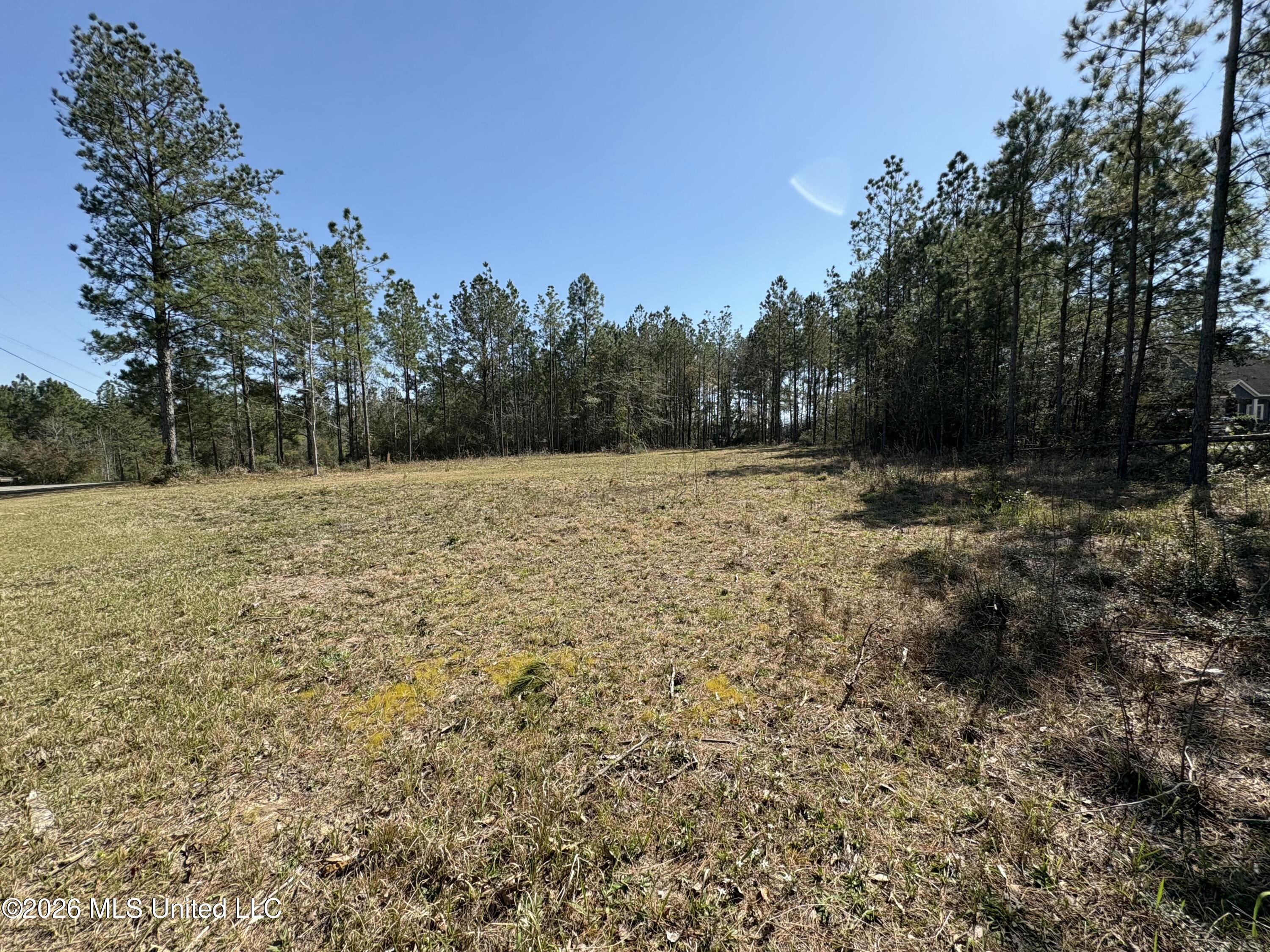 13 Tobee Road Saucier, MS 39574 - Photo 2 of 3 Land View