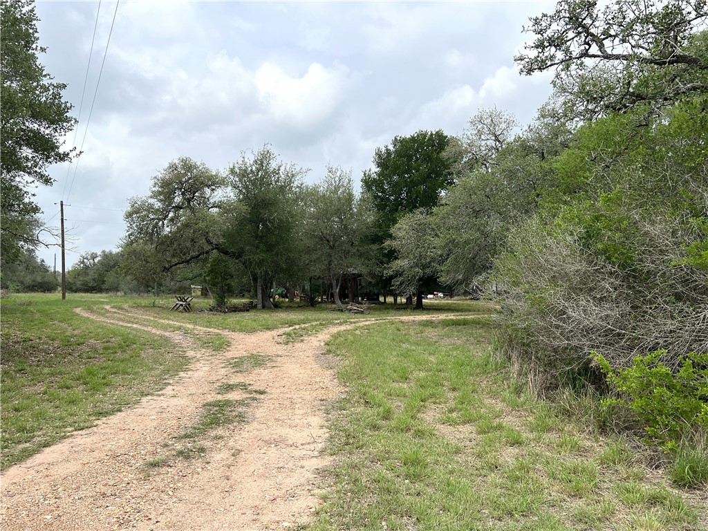 1632 Slickfield Road Yorktown, TX 78164 - Photo 12 of 40 a view of a yard with trees