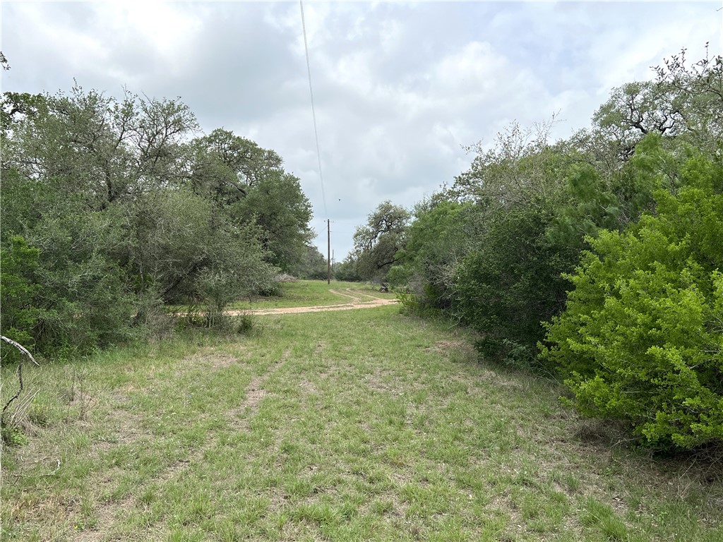1632 Slickfield Road Yorktown, TX 78164 - Photo 13 of 40 a view of a field with trees in the background