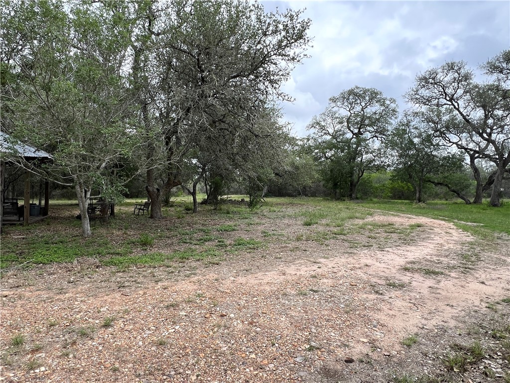 1632 Slickfield Road Yorktown, TX 78164 - Photo 18 of 40 a view of outdoor space with trees