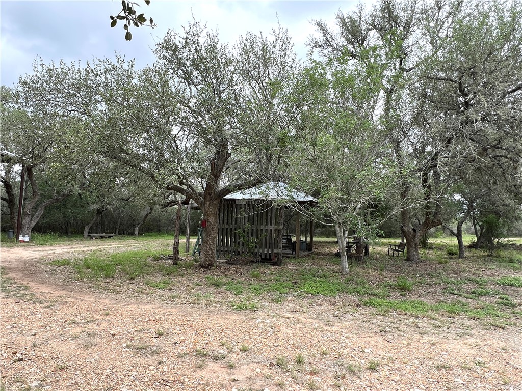 1632 Slickfield Road Yorktown, TX 78164 - Photo 19 of 40 a backyard of a house with lots of green space