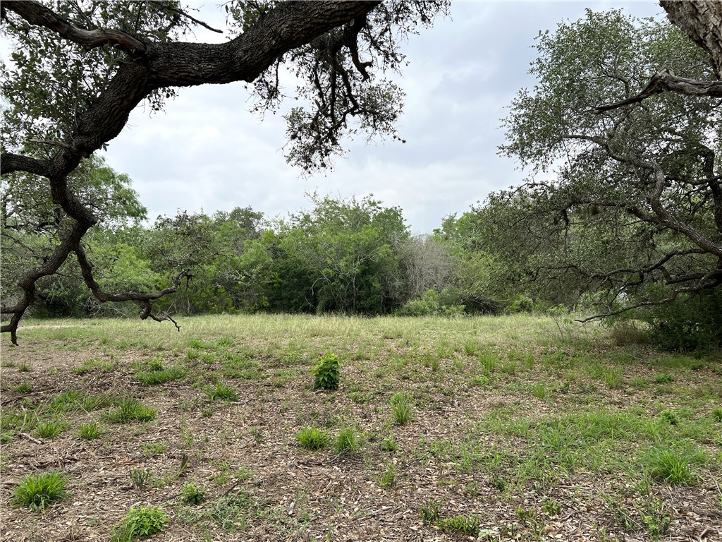 1632 Slickfield Road Yorktown, TX 78164 - Photo 33 of 40 a big yard with lots of green space