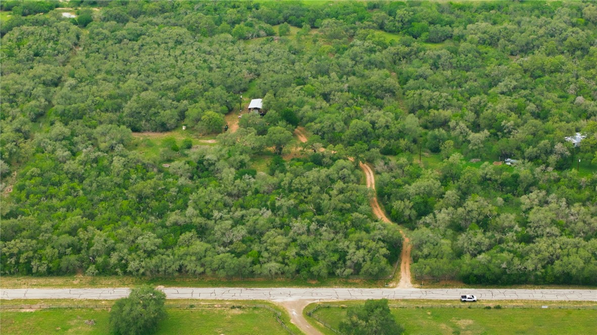 1632 Slickfield Road Yorktown, TX 78164 - Photo 5 of 40 a view of yard with green space