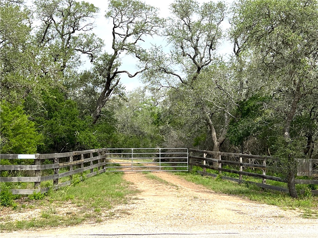 1632 Slickfield Road Yorktown, TX 78164 - Photo 6 of 40 a view of a swimming pool