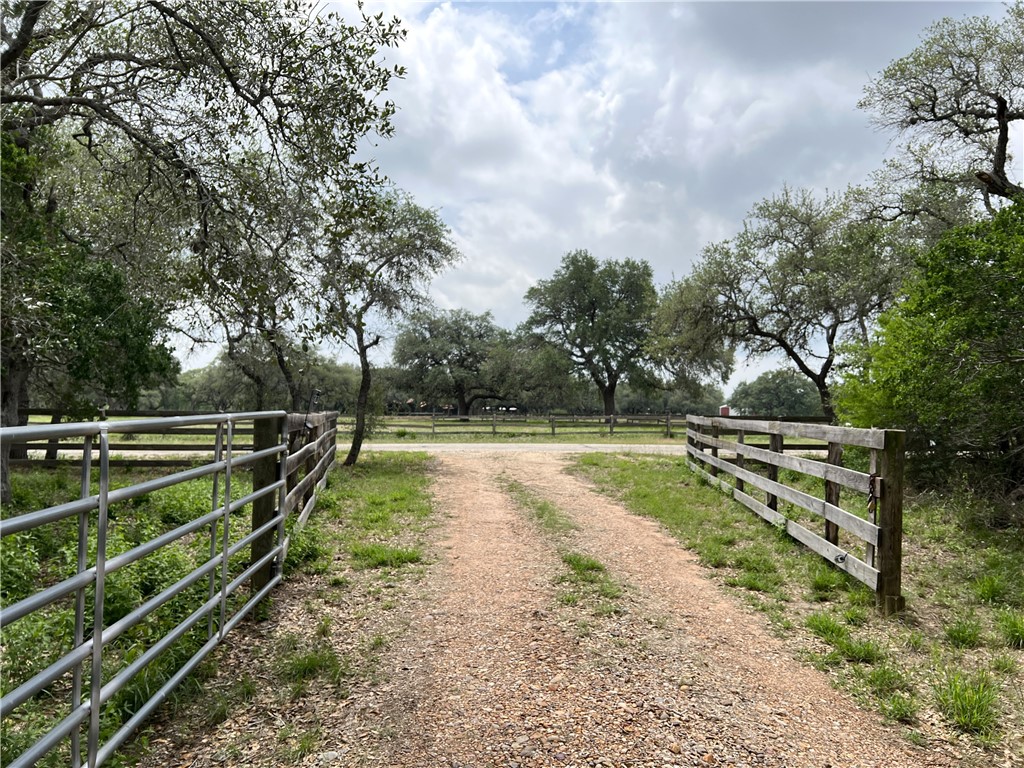 1632 Slickfield Road Yorktown, TX 78164 - Photo 10 of 40 a view of a park with large trees