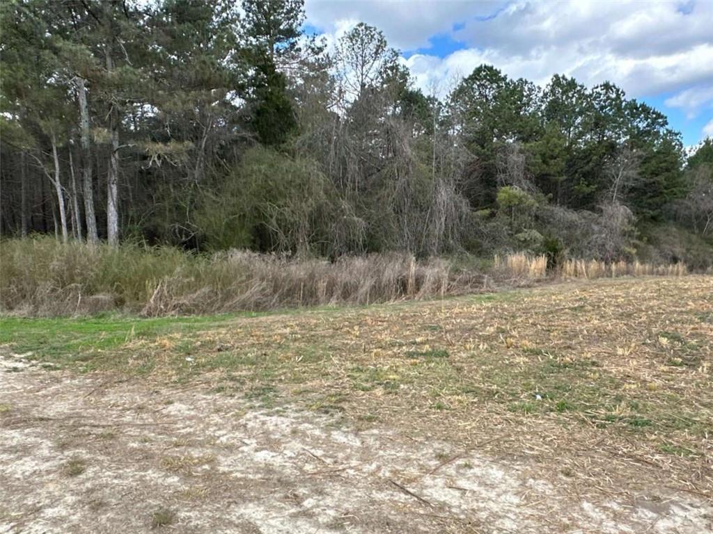 3 Popham Road Taylorsville, GA 30178 - Photo 11 of 21