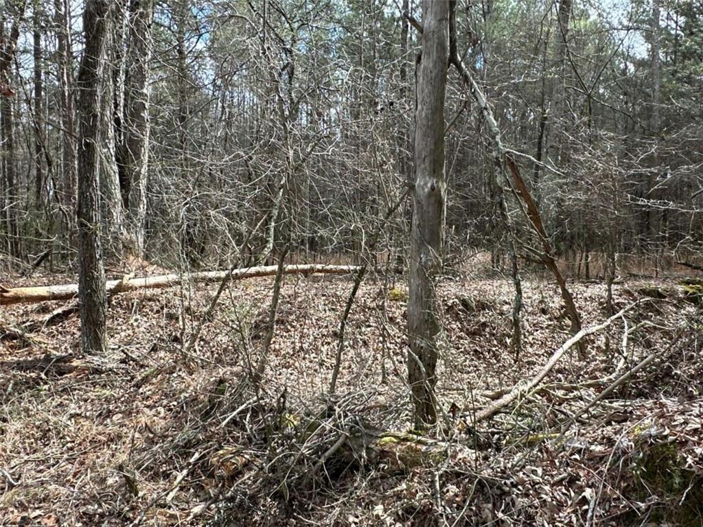 3 Popham Road Taylorsville, GA 30178 - Photo 13 of 21