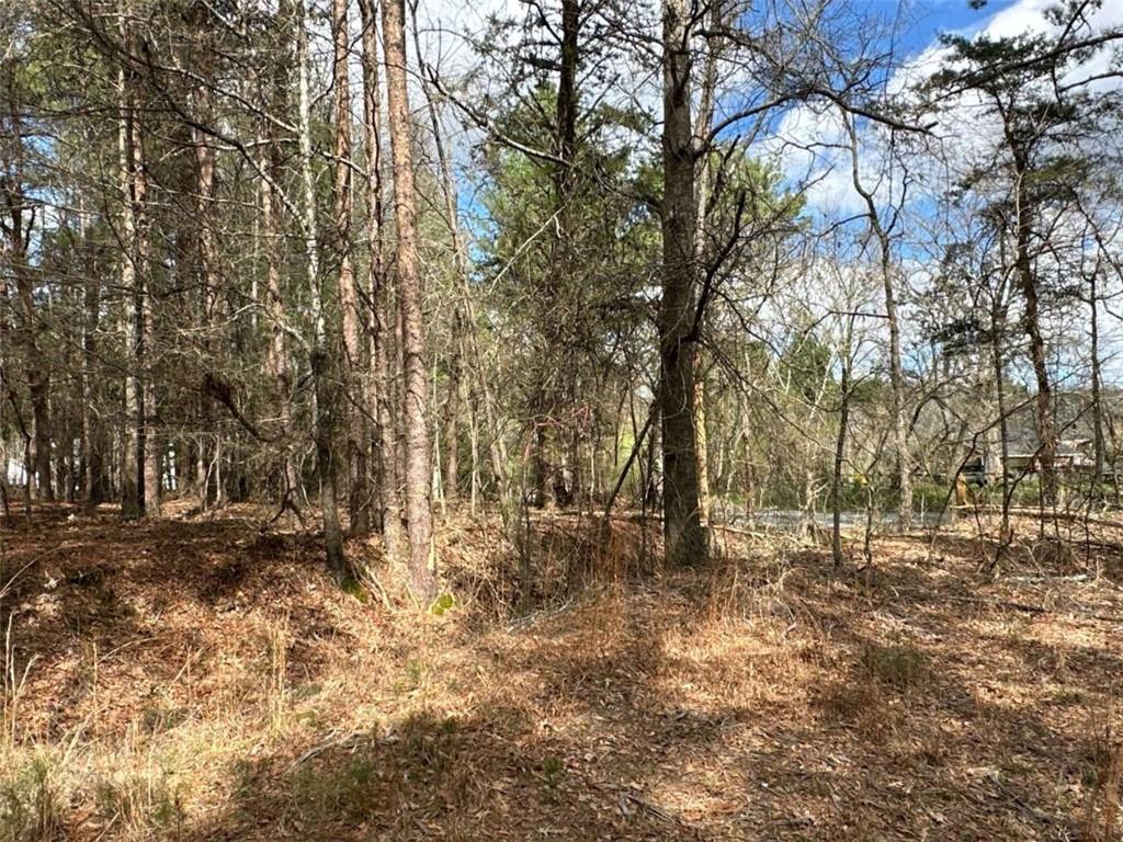 3 Popham Road Taylorsville, GA 30178 - Photo 14 of 21