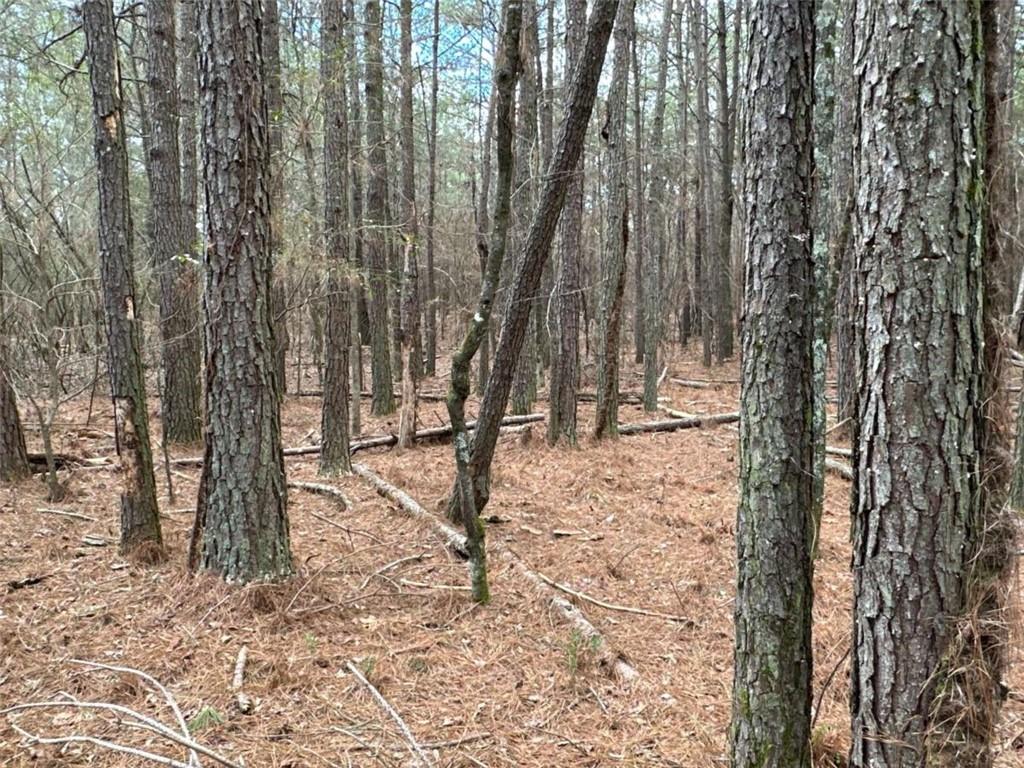 3 Popham Road Taylorsville, GA 30178 - Photo 15 of 21