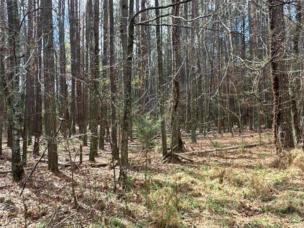 3 Popham Road Taylorsville, GA 30178 - Photo 16 of 21