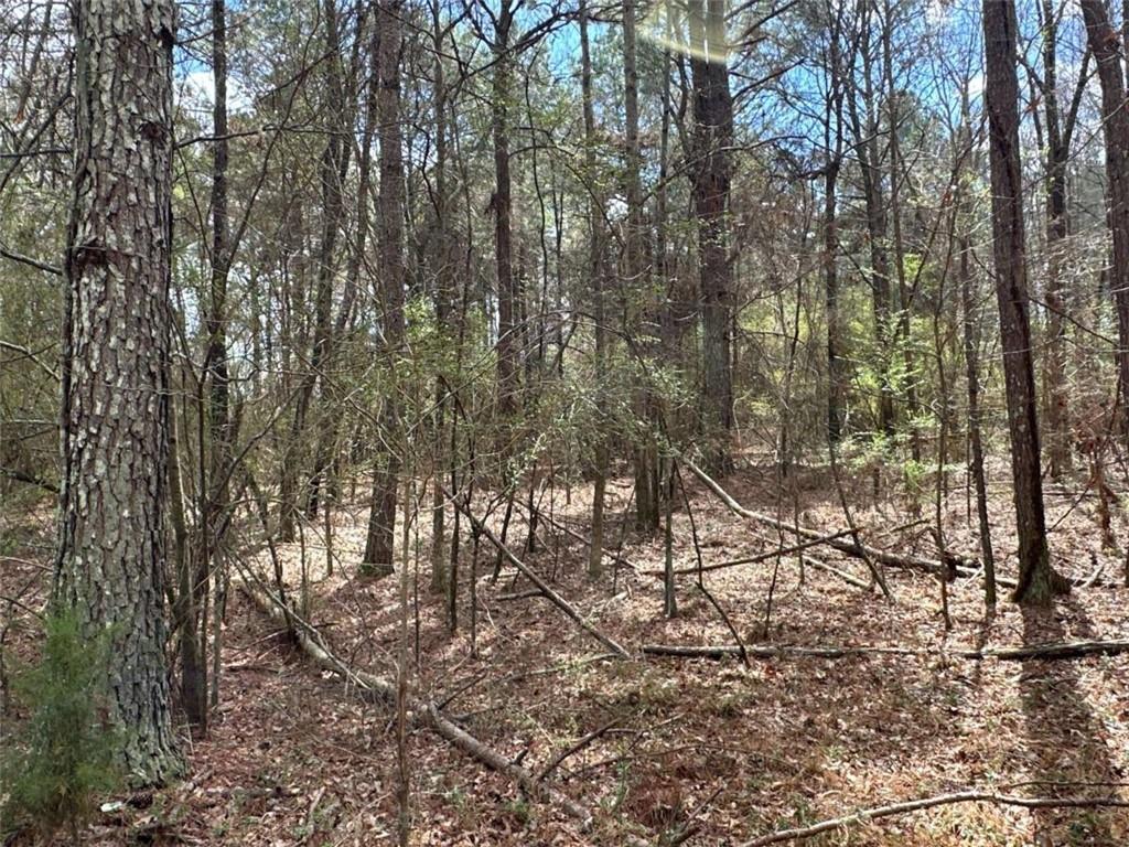3 Popham Road Taylorsville, GA 30178 - Photo 17 of 21