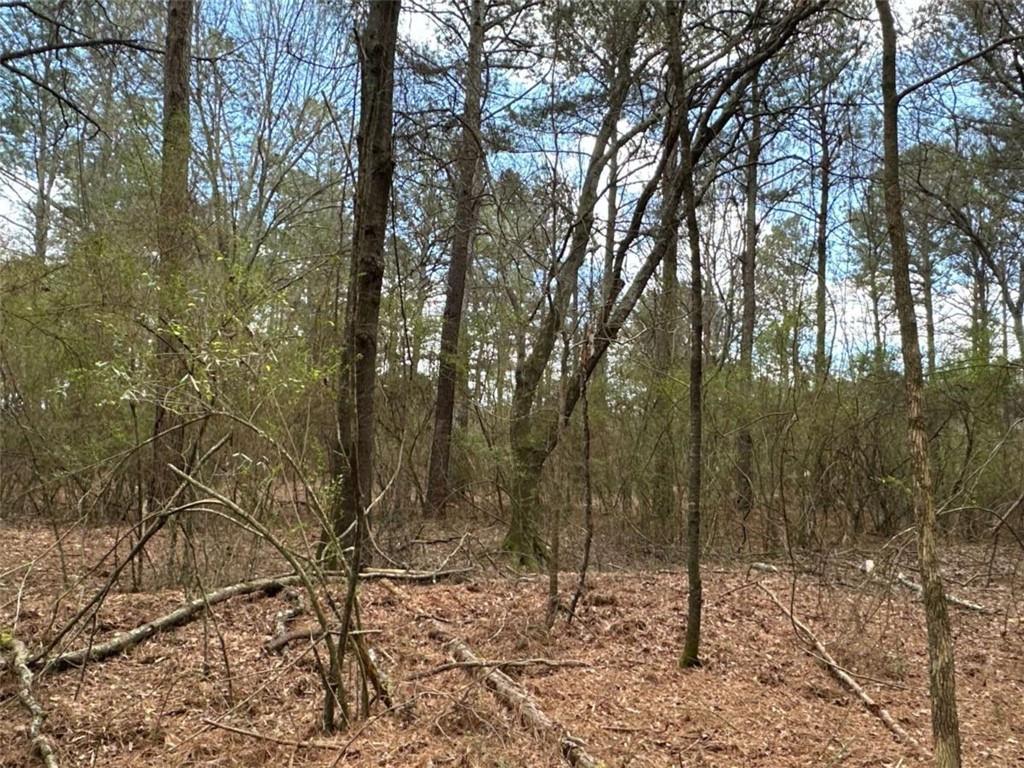 3 Popham Road Taylorsville, GA 30178 - Photo 18 of 21