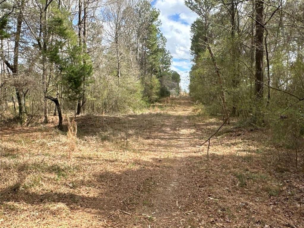 3 Popham Road Taylorsville, GA 30178 - Photo 19 of 21