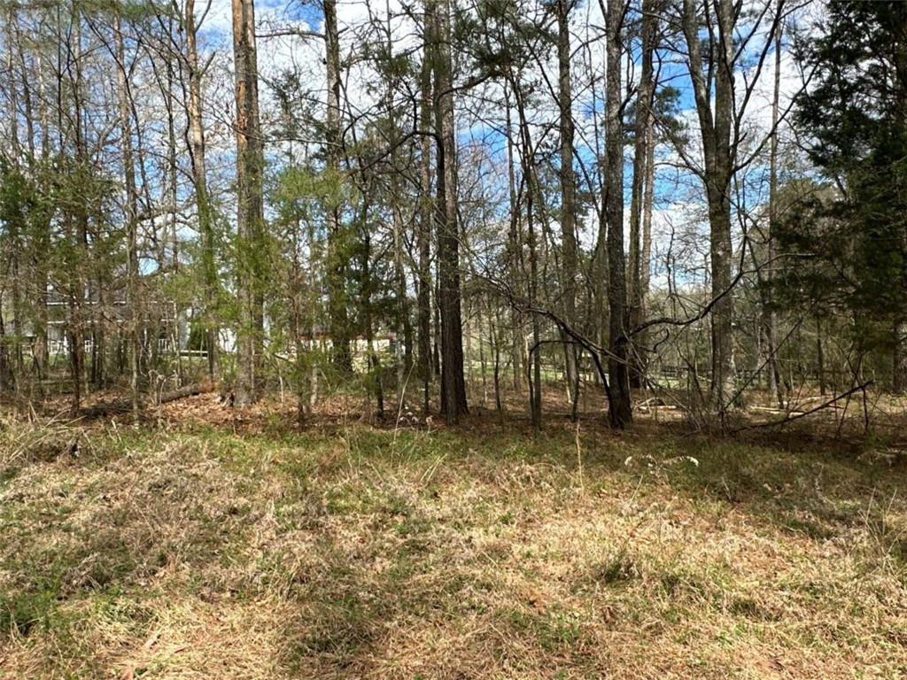 3 Popham Road Taylorsville, GA 30178 - Photo 20 of 21