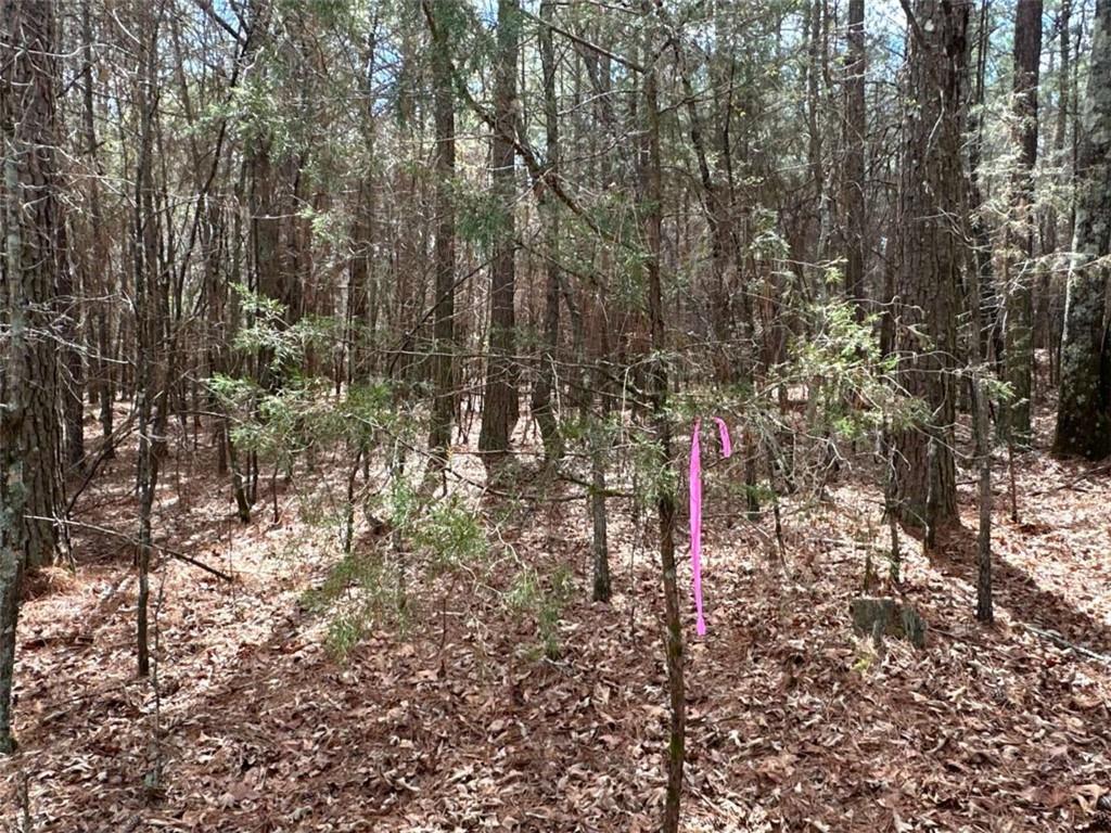 3 Popham Road Taylorsville, GA 30178 - Photo 21 of 21