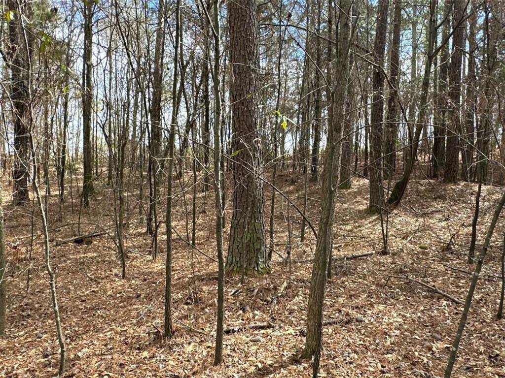 3 Popham Road Taylorsville, GA 30178 - Photo 5 of 21