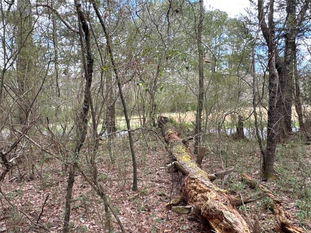 3 Popham Road Taylorsville, GA 30178 - Photo 6 of 21