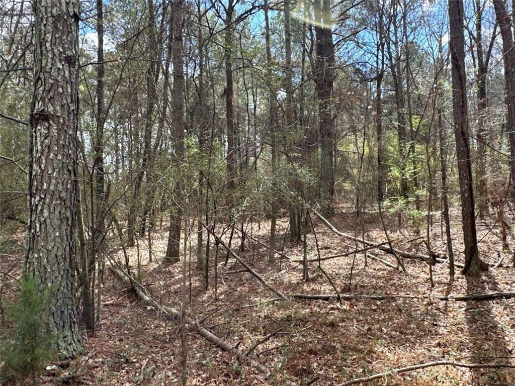 3 Popham Road Taylorsville, GA 30178 - Photo 7 of 21