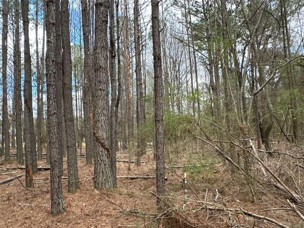 3 Popham Road Taylorsville, GA 30178 - Photo 9 of 21