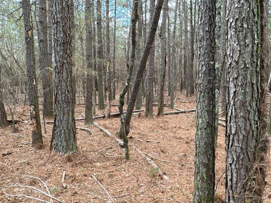 3 Popham Road Taylorsville, GA 30178 - Photo 10 of 21