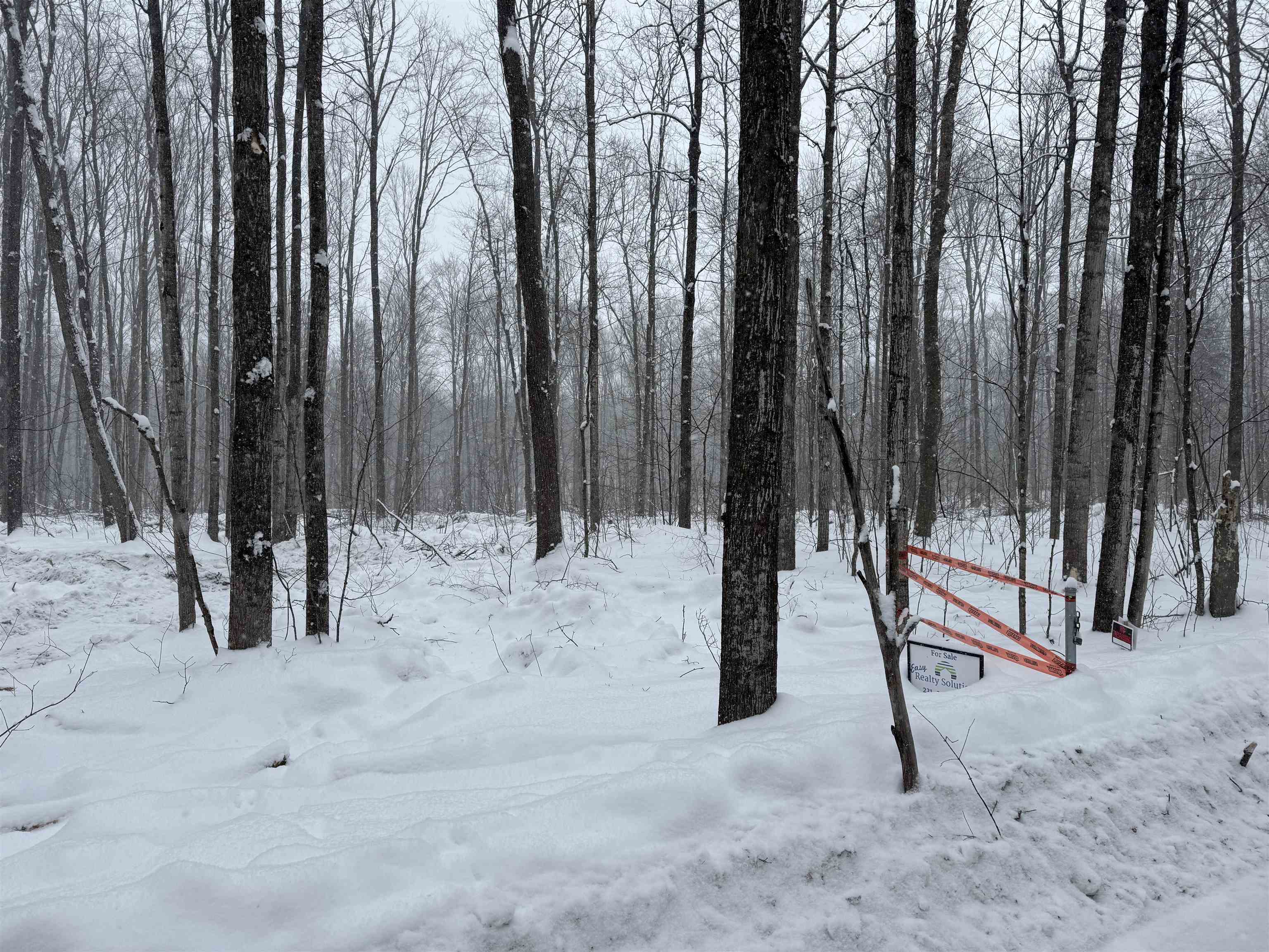 -dreffs Off McCoy Road Gaylord, MI 49735 - Photo 3 of 14