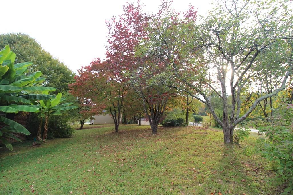 4520 Toestring Valley Road Spring City, TN 37381 - Photo 29 of 36 29