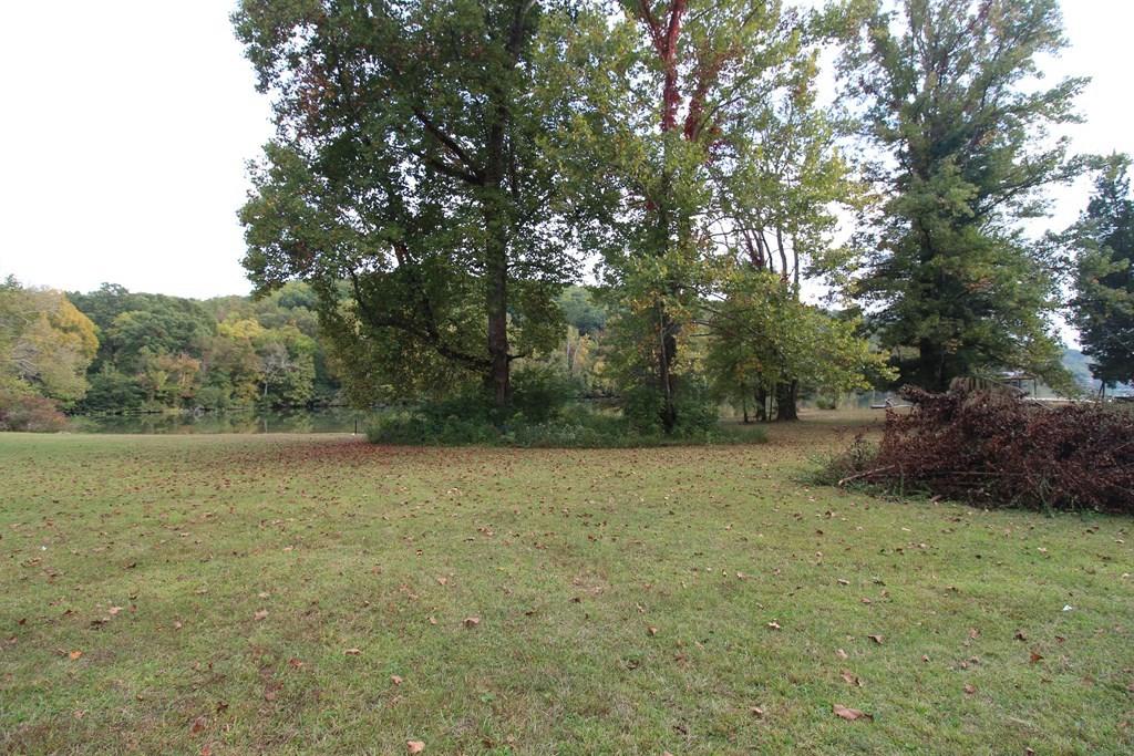 4520 Toestring Valley Road Spring City, TN 37381 - Photo 30 of 36 30
