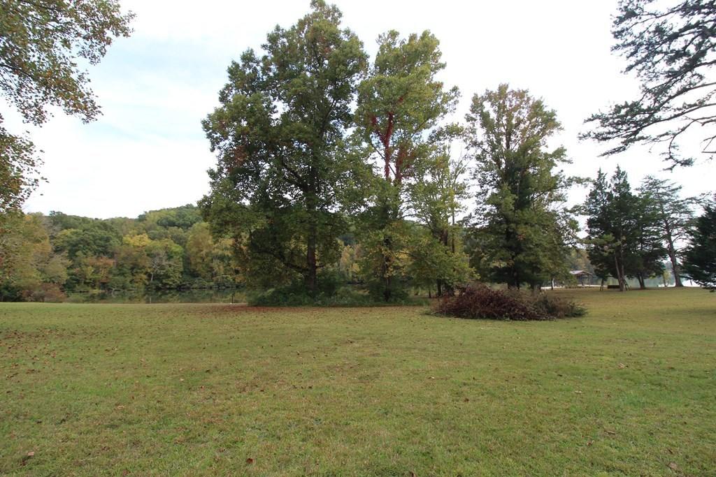 4520 Toestring Valley Road Spring City, TN 37381 - Photo 32 of 36 32