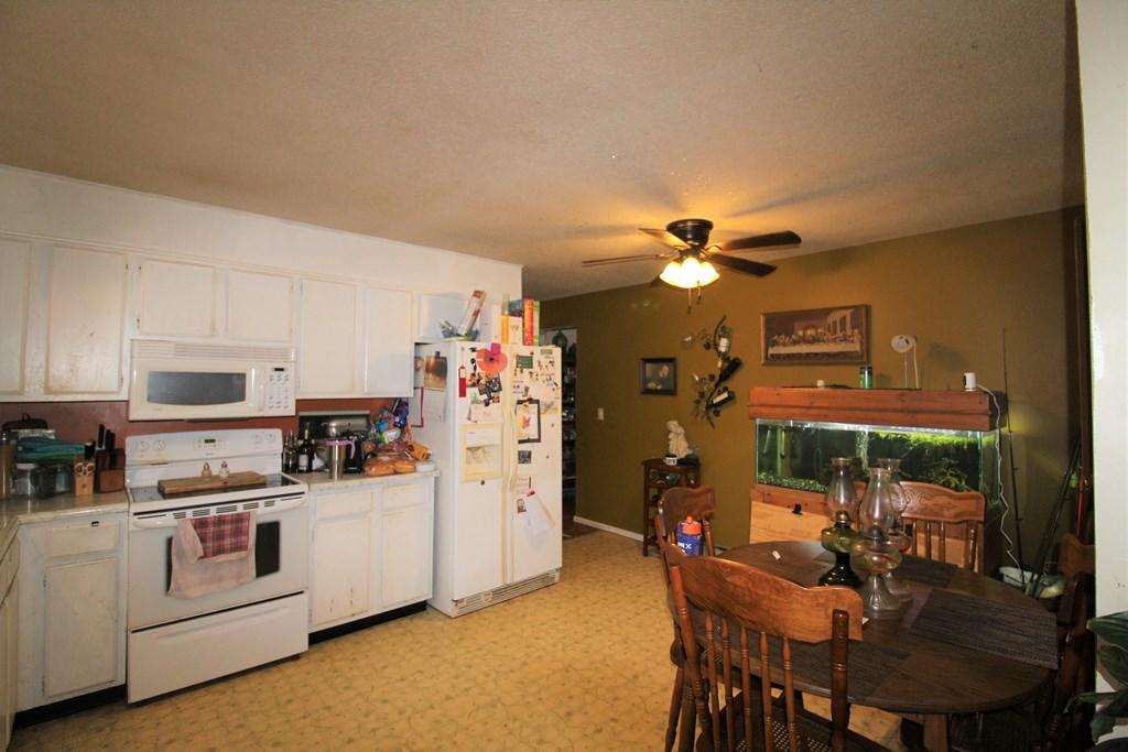 4520 Toestring Valley Road Spring City, TN 37381 - Photo 9 of 36 9