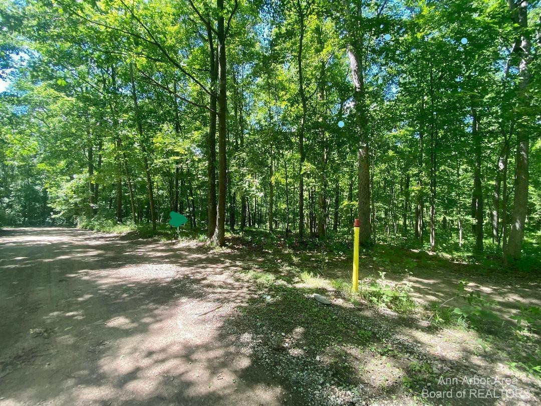 8101 Donovan Road Dexter, MI 48130 - Photo 3 of 4 Photo 3