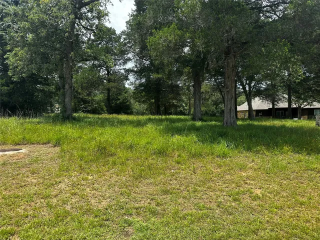 $65,000 | 0 North Falls Drive, New Ulm, TX 78950