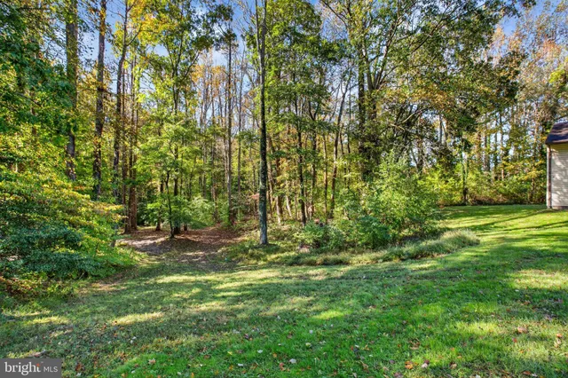 a view of outdoor space and yard