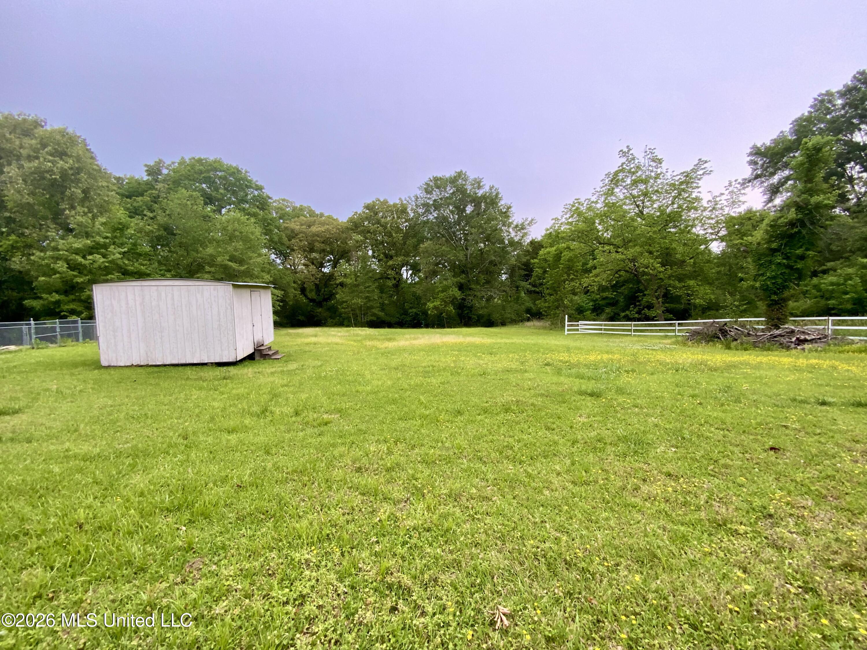 144 Plummer Circle Jackson, MS 39209 - Photo 8 of 10 Backyard