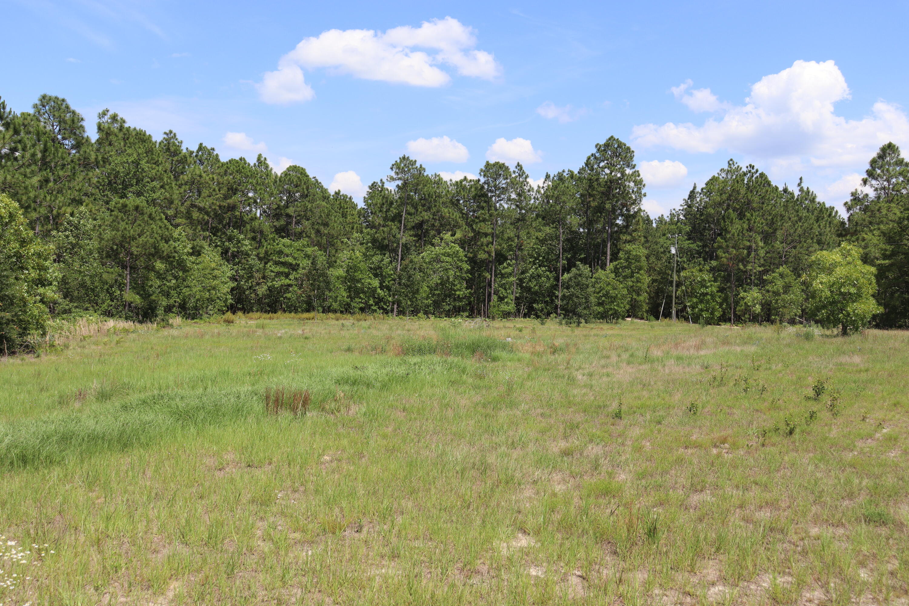 806 State Park Road Windsor, SC 29856 - Photo 6 of 7