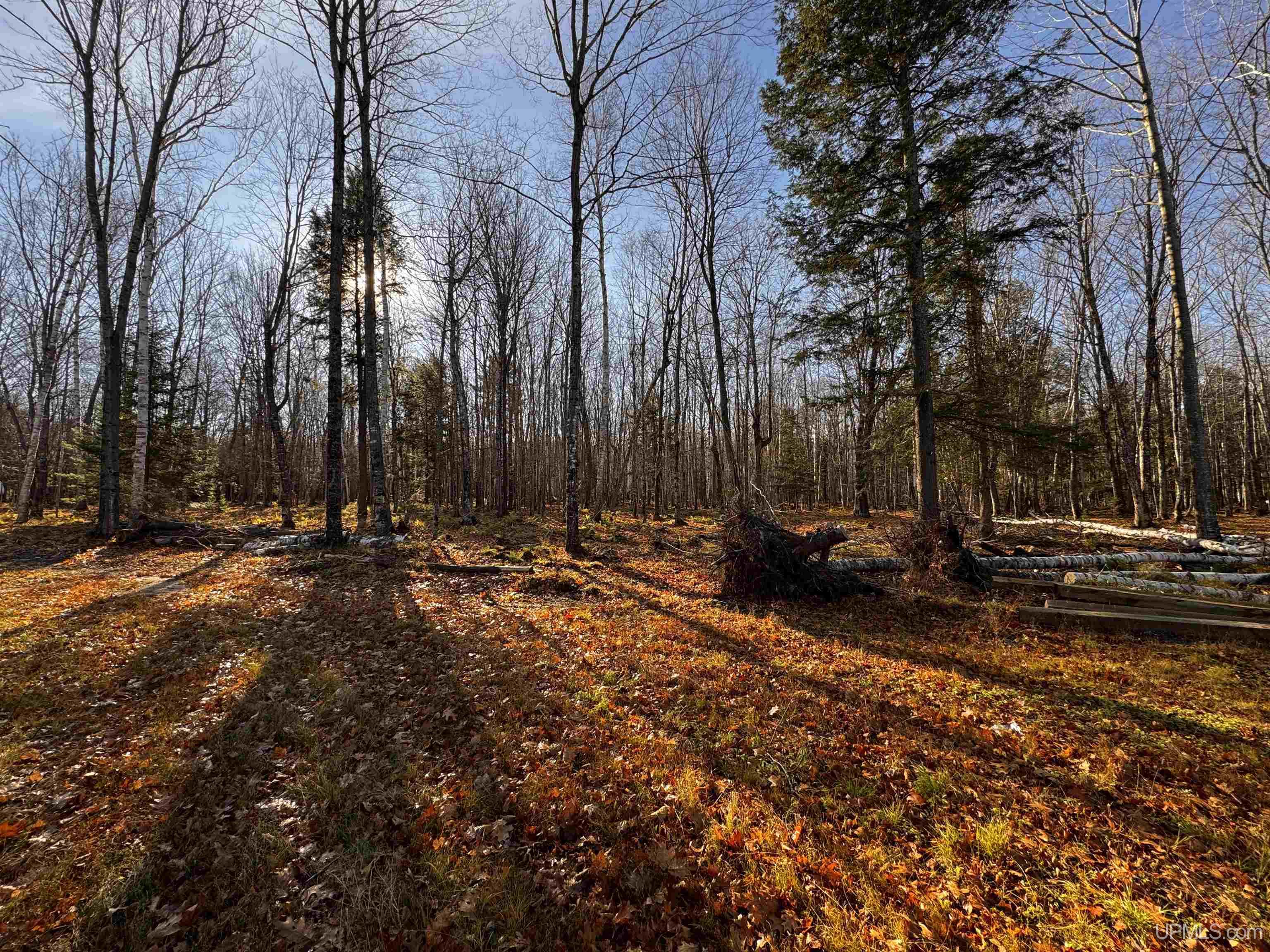 13948 Rock Beach Road Lanse, MI 49946 - Photo 26 of 31 Gallery Image 26
