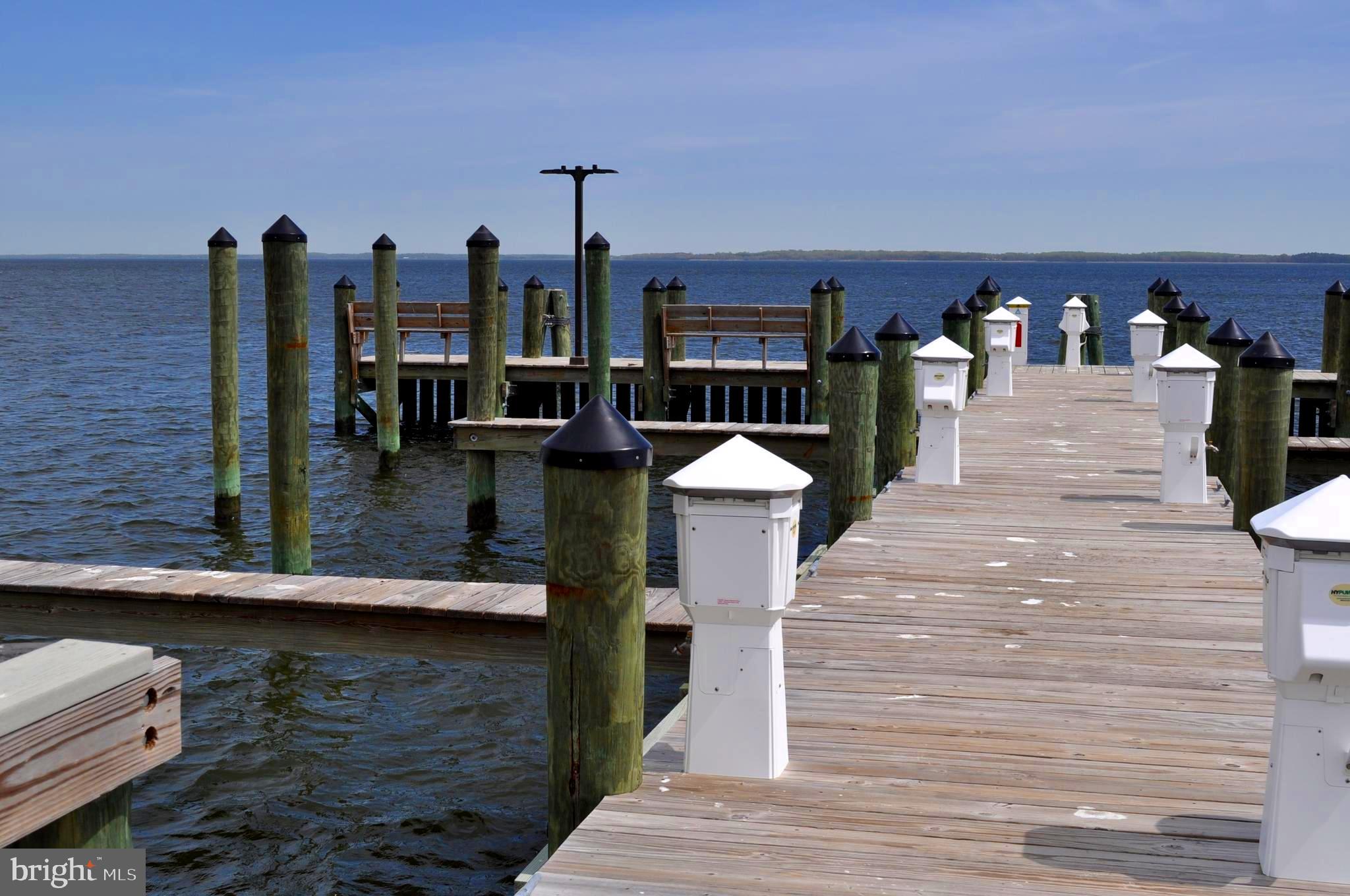 170 Harrier Way, Unit 22 Chester, MD 21619 - Photo 66 of 79