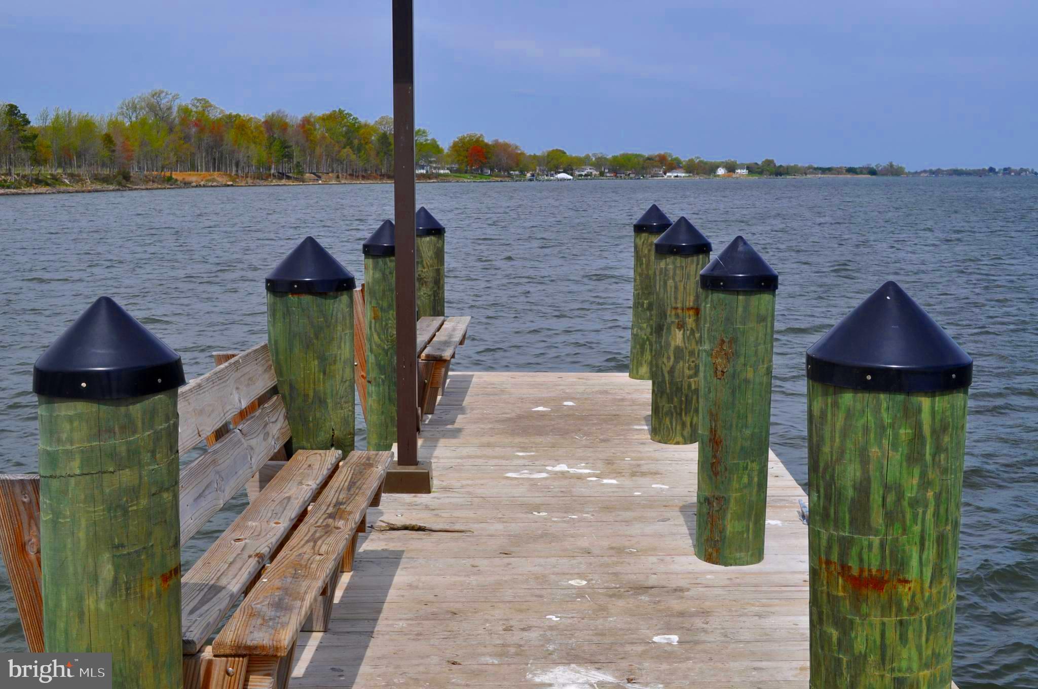 170 Harrier Way, Unit 22 Chester, MD 21619 - Photo 67 of 79