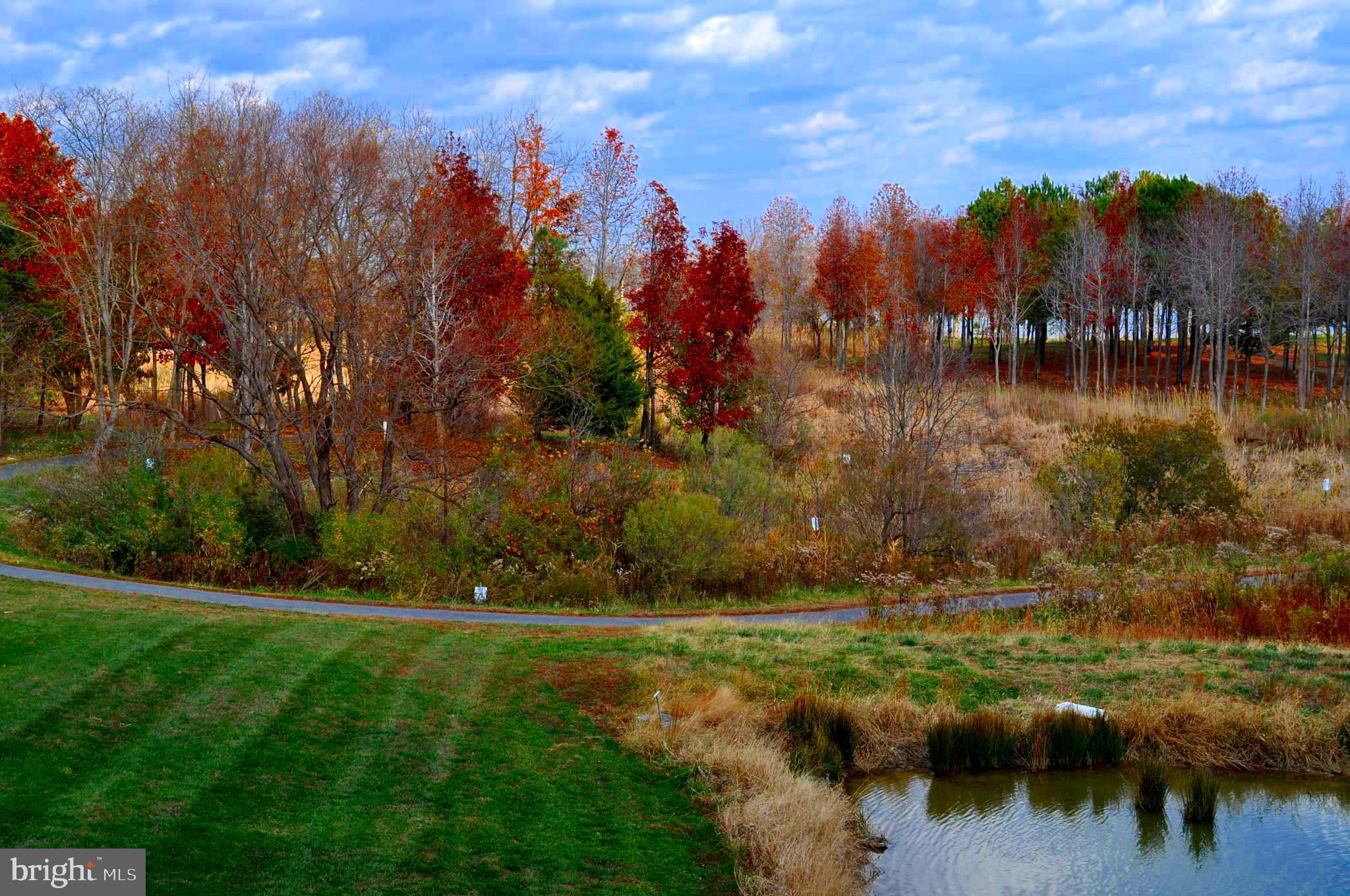 170 Harrier Way, Unit 22 Chester, MD 21619 - Photo 74 of 79 Winter view of the Chester River