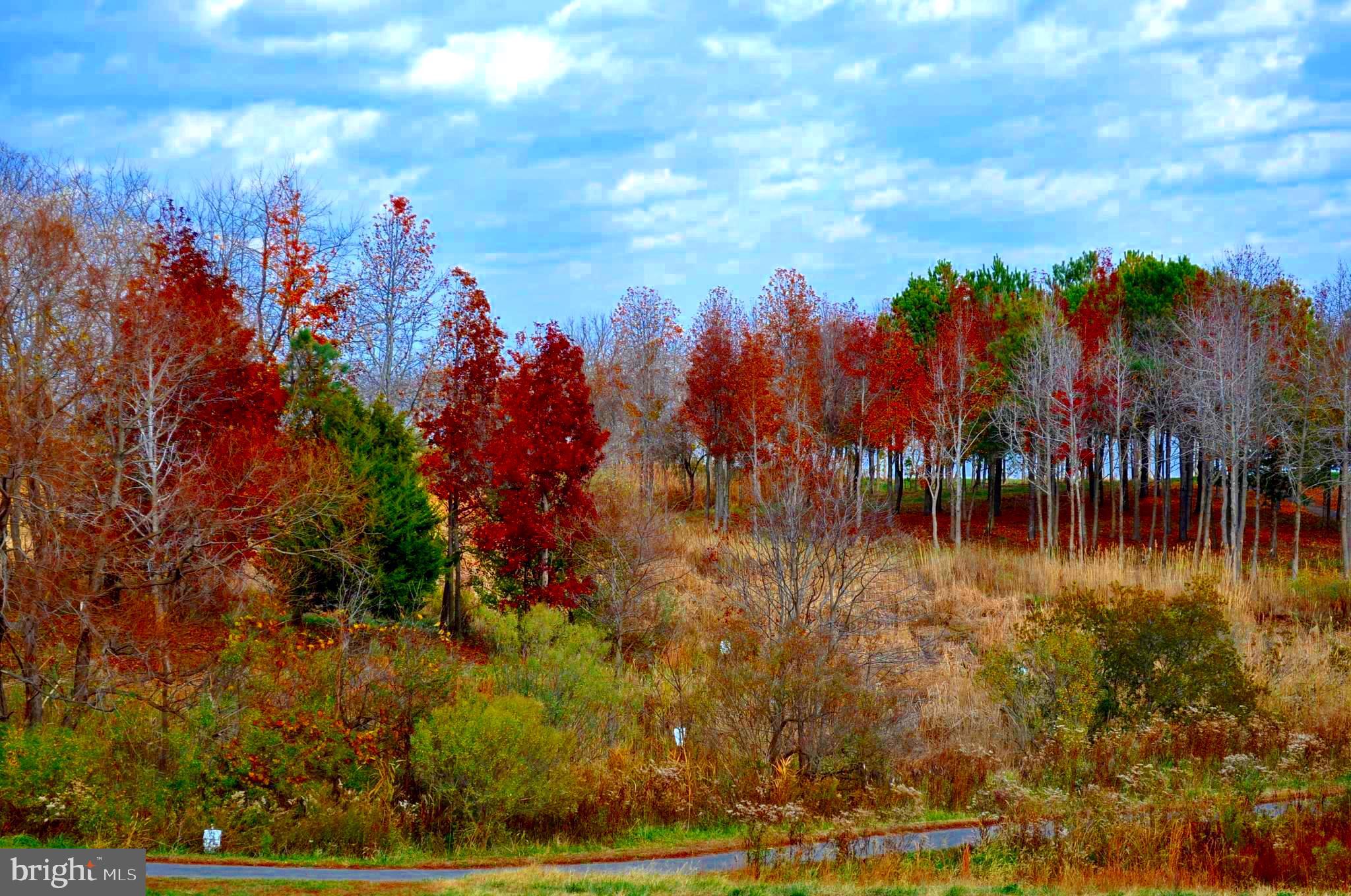 170 Harrier Way, Unit 22 Chester, MD 21619 - Photo 75 of 79