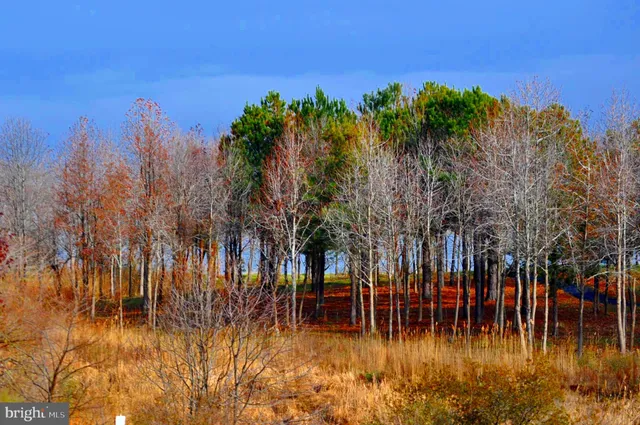 $499,000 | 170 Harrier Way, Unit 22, Chester, MD 21619