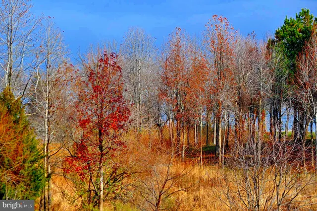 $499,000 | 170 Harrier Way, Unit 22, Chester, MD 21619